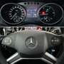 Mercedes-Benz ML 350 CDI 4M Sport/Off-Road/Distronic/Xenon/AHK Gris - thumbnail 19
