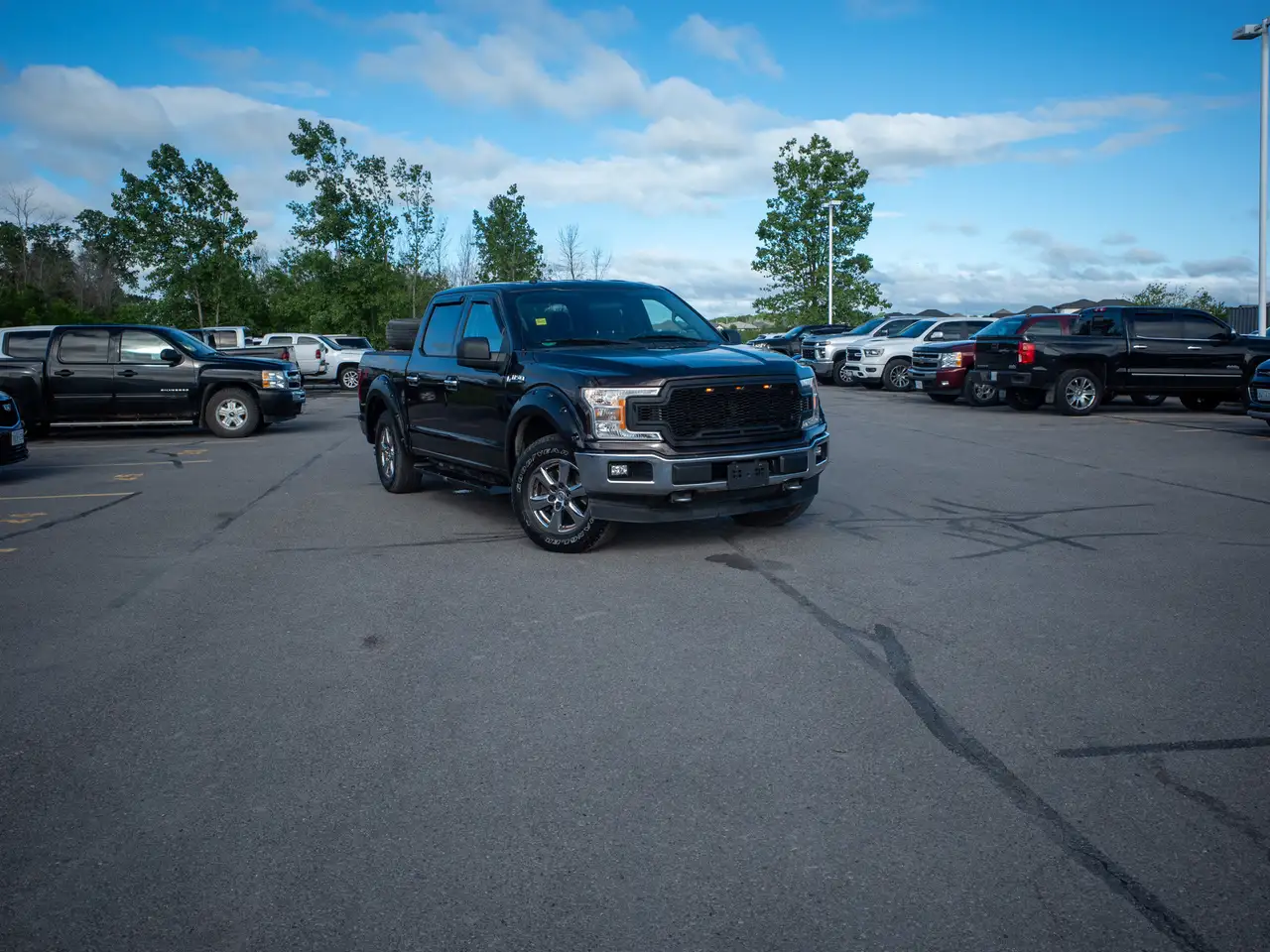 Ford F 150 fotografie Ford F 150