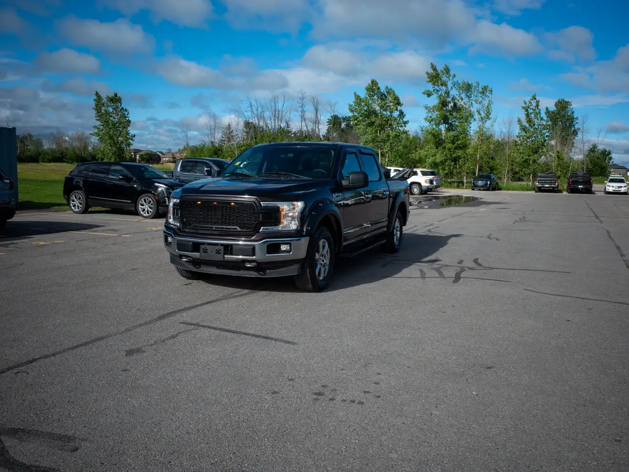 Ford F 150 fotografie Ford F 150