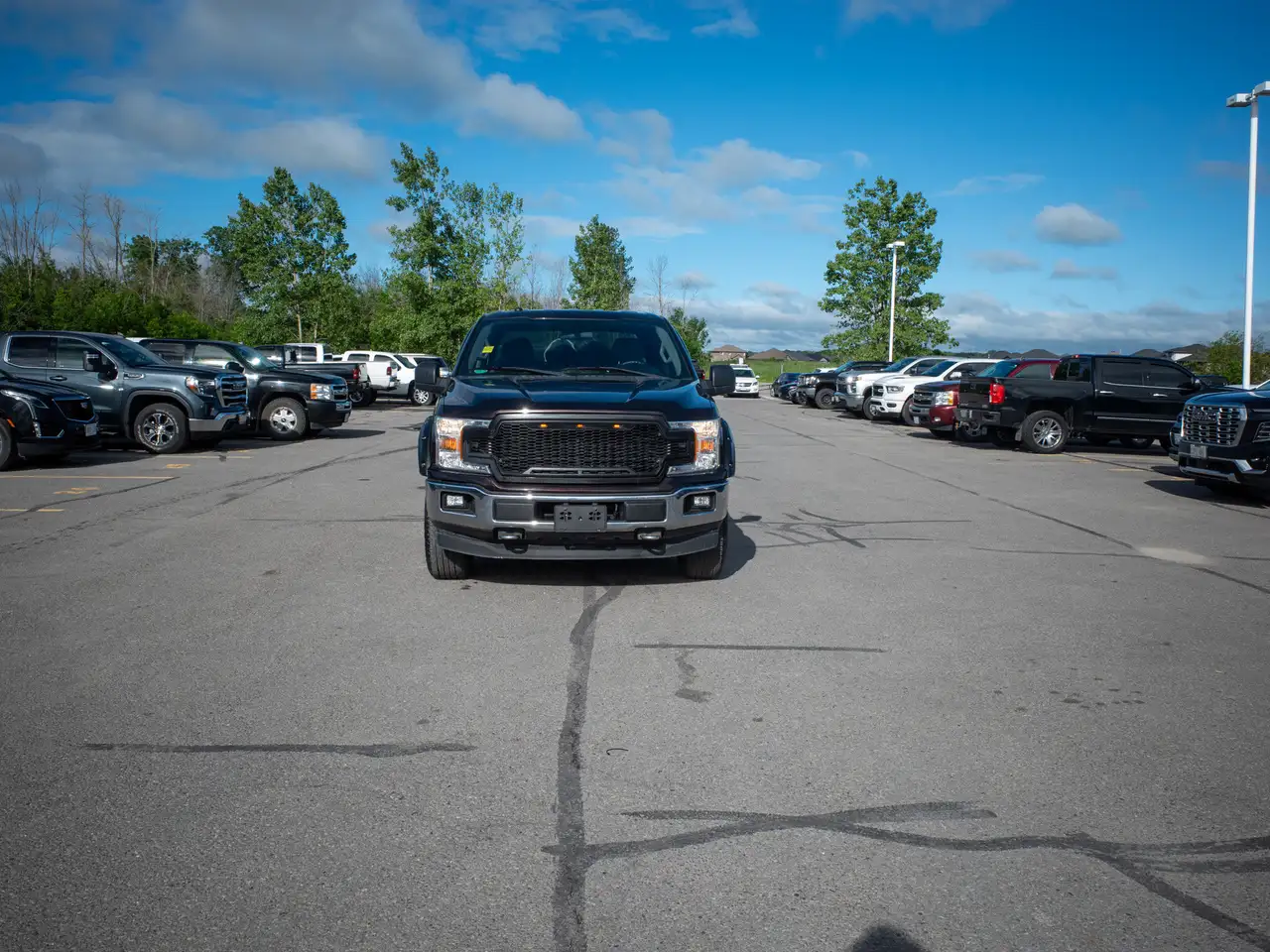 Ford F 150 fotografie Ford F 150