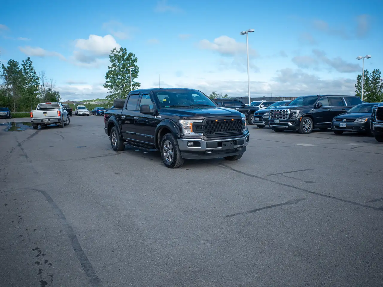 Ford F 150 fotografie Ford F 150