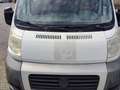 Fiat Ducato CHASSIS CAB 3.0 C 2.2 MULTIJET PACK CD CLIM Wit - thumbnail 7