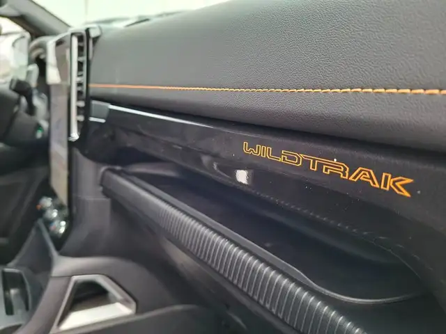 Ford Ranger Wildtrak 3.0 EcoBlue V6 e-4WD Doppelkabine Ansicht 30