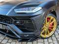 Lamborghini Urus Pano/B\u0026O/ParkAssist/AHK/Q-Citura/Sitzbelüftung Noir - thumbnail 16