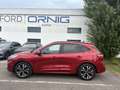 Ford Kuga ST-Line X 2.5 PHEV 225PS Automatik Rot - thumbnail 3
