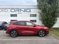 Ford Kuga ST-Line X 2.5 PHEV 225PS Automatik Rot - thumbnail 6