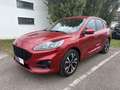 Ford Kuga ST-Line X 2.5 PHEV 225PS Automatik Rot - thumbnail 1