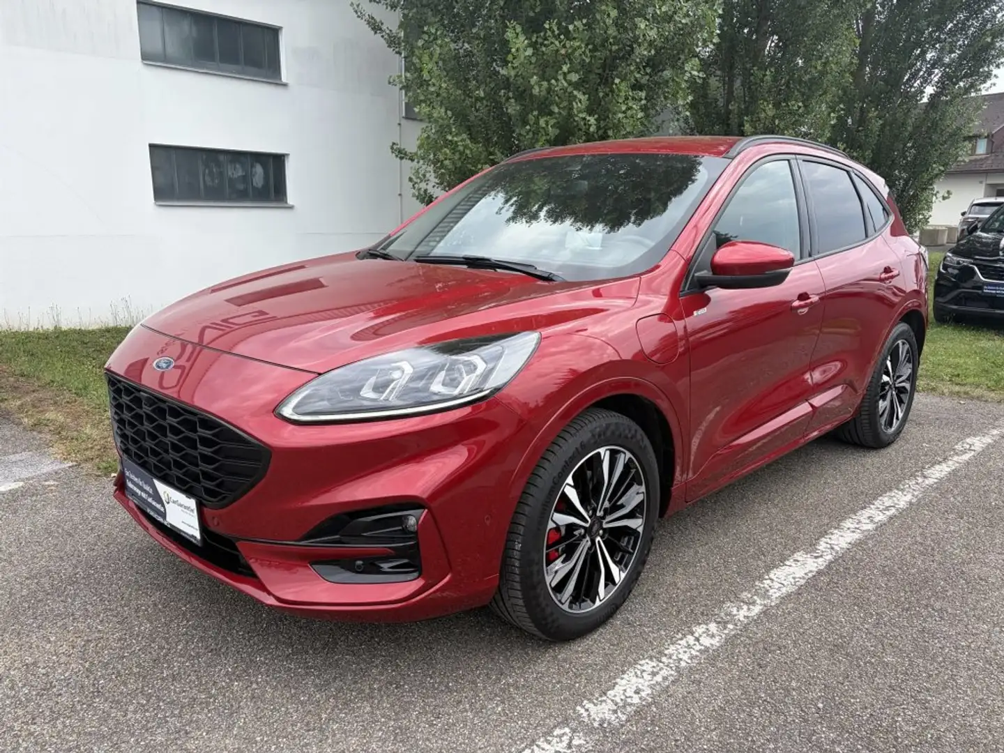Ford Kuga ST-Line X 2.5 PHEV 225PS Automatik Rot - 1