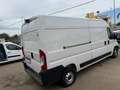 Fiat Ducato L2 H2 Blanc - thumbnail 3