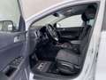 Kia Sportage Attract Navi+Keyless+Sitzheizung+Carrera-Weiß Weiß - thumbnail 9