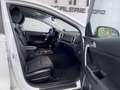 Kia Sportage Attract Navi+Keyless+Sitzheizung+Carrera-Weiß Weiß - thumbnail 12
