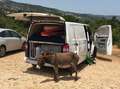Volkswagen T5 Transporter LR 2,0 TDI D-PF Weiß - thumbnail 6