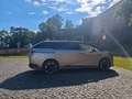 Xpeng Sonstige X9 AWD Performance Gold - thumbnail 5