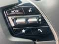 Kia e-Niro Niro EV Long Range 64kWh Gold Aut. Weiß - thumbnail 13