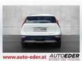 Kia e-Niro Niro EV Long Range 64kWh Gold Aut. Weiß - thumbnail 6