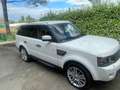Land Rover Range Rover Sport 3.6 tdV8 HSE auto Bianco - thumbnail 4