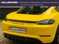 Porsche Cayman 718-GTS 4.0-PDK-PASM-Bose-Sitzbelüftung Желтый - thumbnail 12