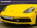 Porsche Cayman 718-GTS 4.0-PDK-PASM-Bose-Sitzbelüftung Желтый - thumbnail 7