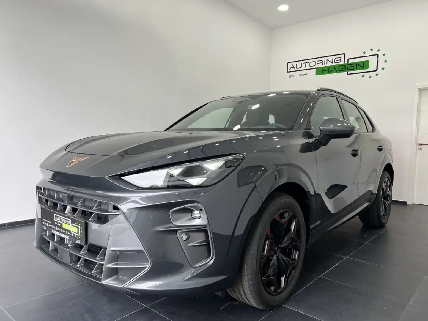 CUPRA Terramar DSG AHK|LED|CarPlay|Kamera|5JGar|19 Gris - 1