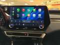 Lexus RX 350 h E-FOUR Business Line NAVI+LED+El.Heckklappe Appl Zwart - thumbnail 15