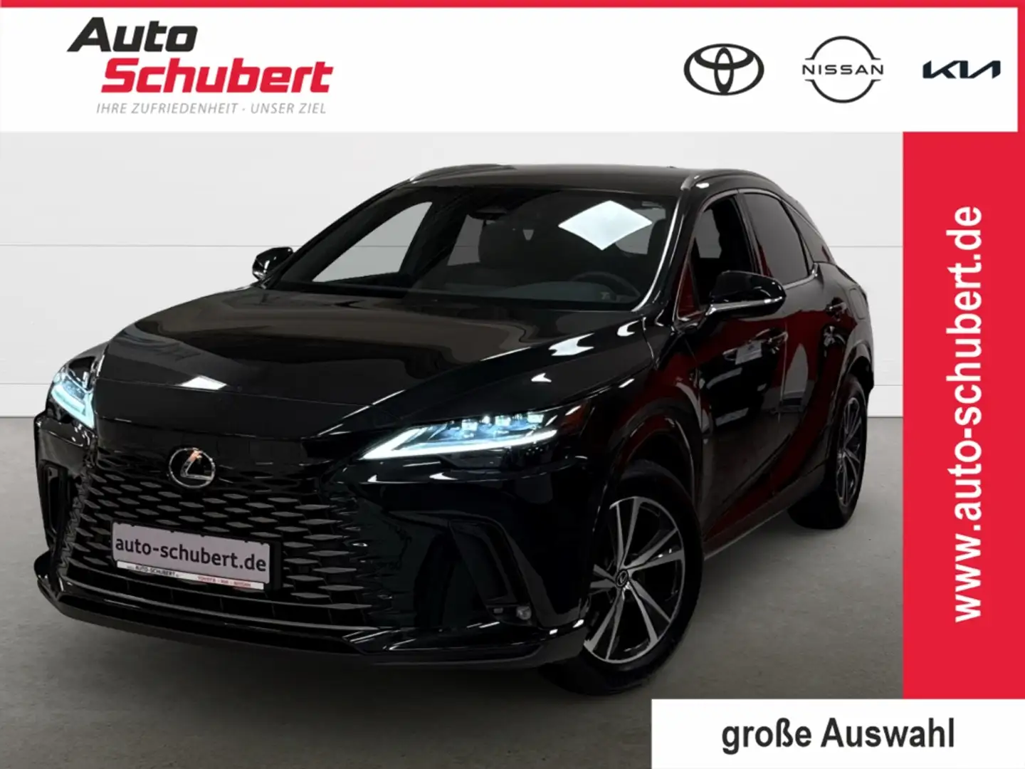 Lexus RX 350 h E-FOUR Business Line NAVI+LED+El.Heckklappe Appl Zwart - 1