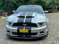 Ford Mustang Mustang 3.7 V6 Grey - thumbnail 1
