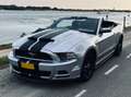Ford Mustang Mustang 3.7 V6 Grey - thumbnail 14