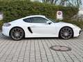 Porsche Cayman GTS 1.Hand. deutsches Auto. PZ-gewartet Weiß - thumbnail 8