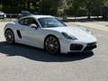 Porsche Cayman GTS 1.Hand. deutsches Auto. PZ-gewartet Weiß - thumbnail 2