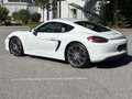 Porsche Cayman GTS 1.Hand. deutsches Auto. PZ-gewartet Weiß - thumbnail 5