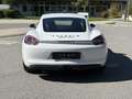 Porsche Cayman GTS 1.Hand. deutsches Auto. PZ-gewartet Weiß - thumbnail 10