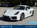 Porsche Cayman GTS 1.Hand. deutsches Auto. PZ-gewartet Weiß - thumbnail 1