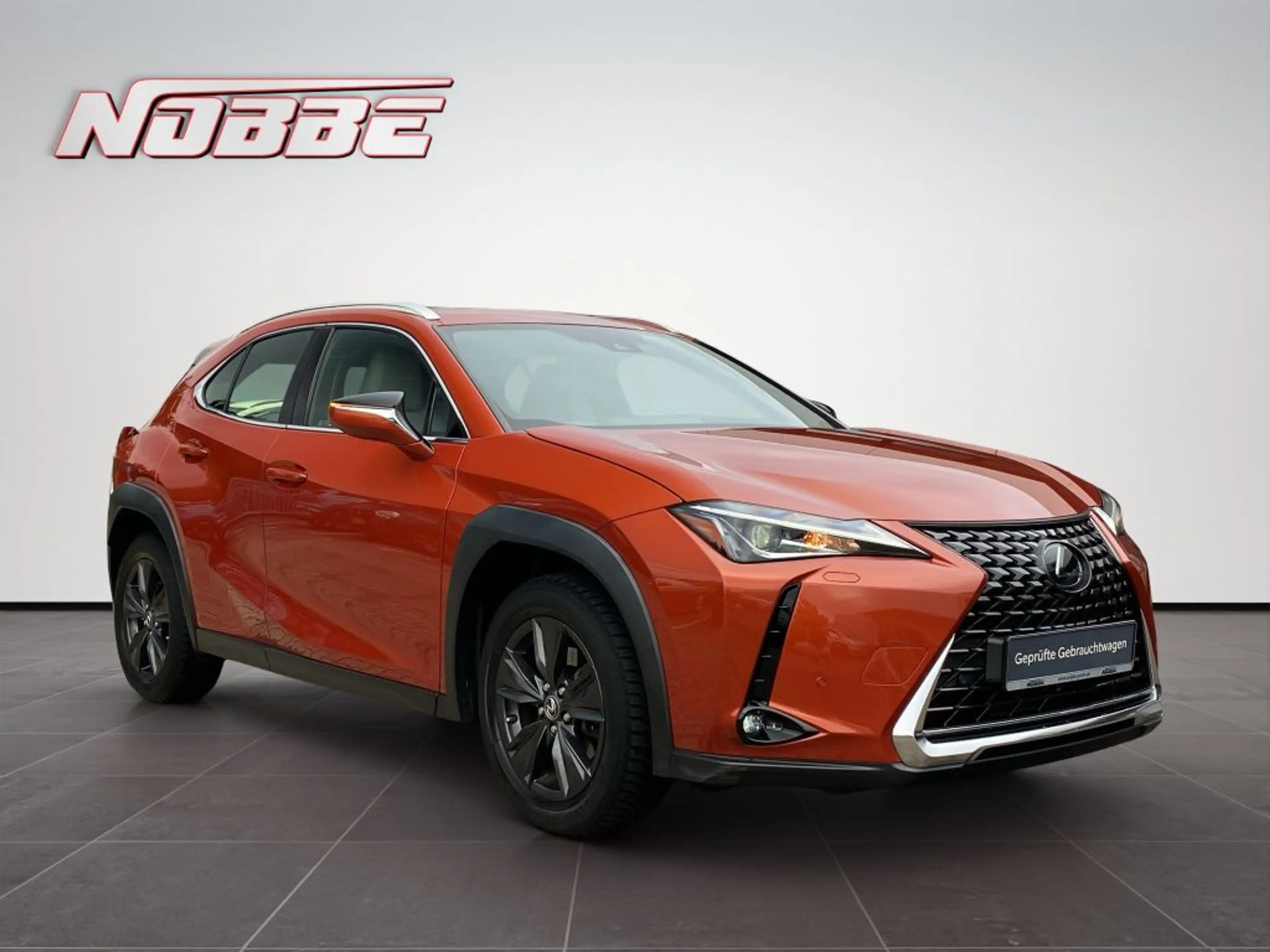 Lexus UX 200 Executive Line *Navi+Leder+Allwetter* — photo 7