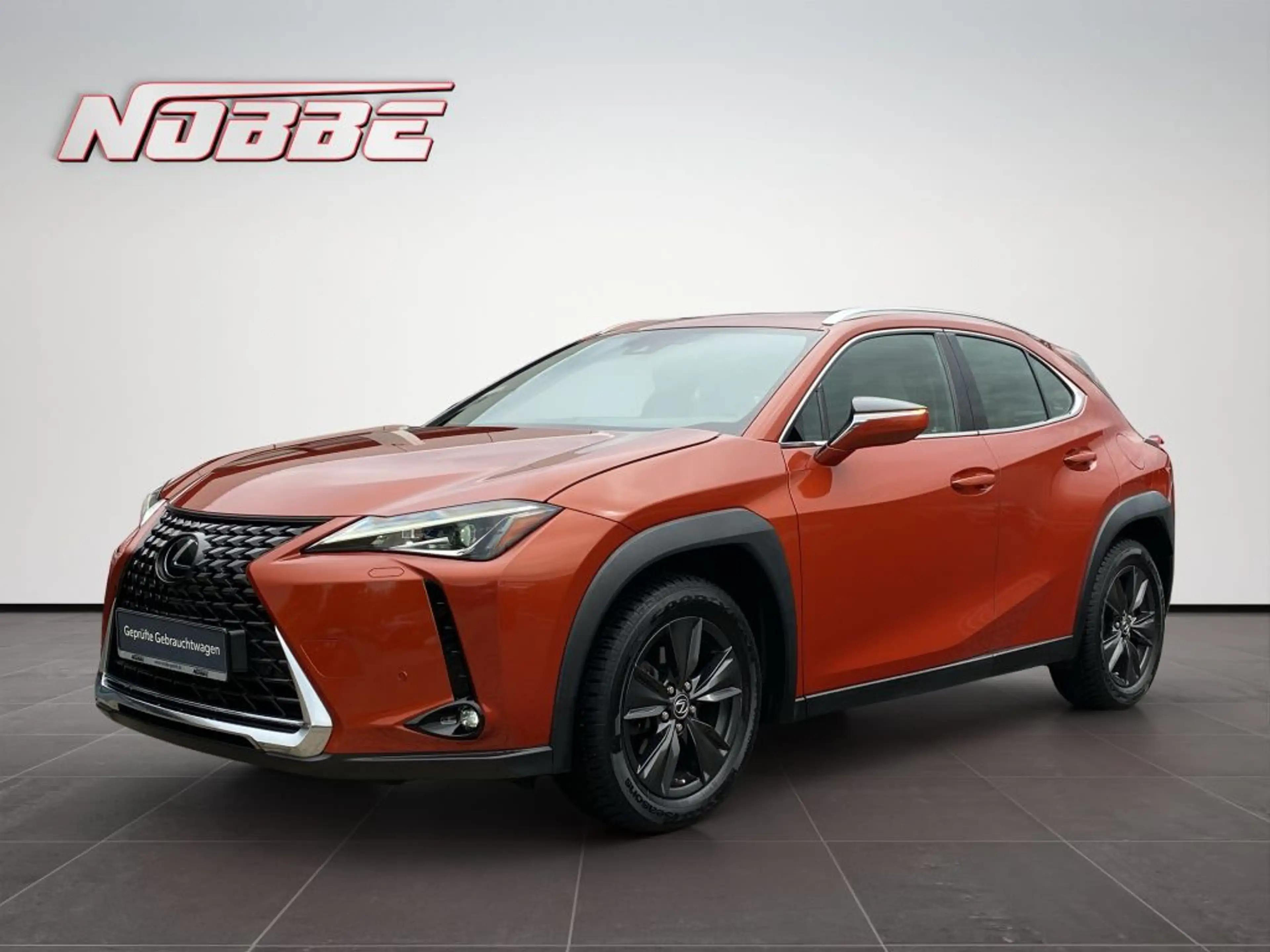 Lexus UX 200 Executive Line *Navi+Leder+Allwetter*