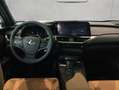 Lexus 300h F-Sport Design Vert - thumbnail 10