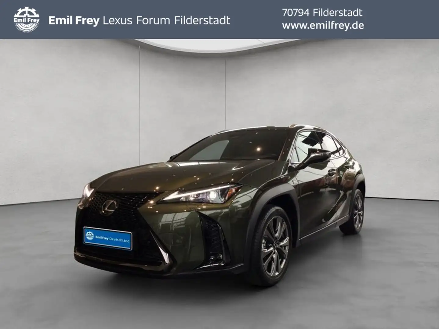 Lexus 300h F-Sport Design Vert - 1