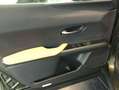 Lexus 300h F-Sport Design Vert - thumbnail 9