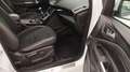 Ford Kuga 1.5 EcoB. Auto S&S ST-Line 4x2 150 Blanco - thumbnail 13