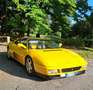Ferrari 348 TS - BOOK SERVICE - ASI con CRS - thumbnail 3