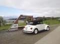 Volkswagen Käfer Weiß - thumbnail 2