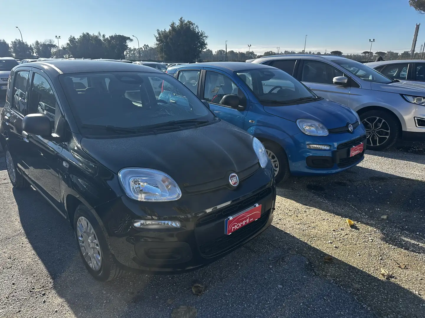 Fiat Panda Pandina 1.0 firefly hybrid Icon s&s 70cv 5p.ti - 2