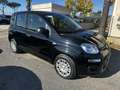 Fiat Panda Pandina 1.0 firefly hybrid Icon s&s 70cv 5p.ti - thumbnail 8