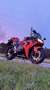 Honda CBR 1000 Honda CBR 1000RR Fireblade Rood - thumbnail 2