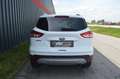 Ford Kuga 2,0 TDCI **2.Besitz**Facelift**4x4**Leder** Weiß - thumbnail 9
