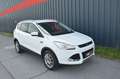 Ford Kuga 2,0 TDCI **2.Besitz**Facelift**4x4**Leder** Weiß - thumbnail 1