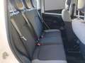 Fiat Panda 1.0 hybrid  70 Cv City Cross S&S 5 Posti Scorta Blanc - thumbnail 9