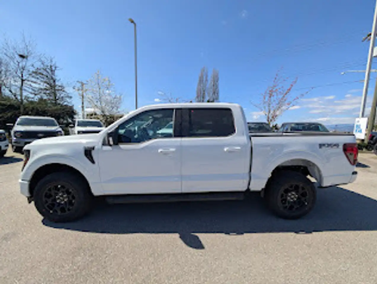 Ford F 150 снимка Ford F 150