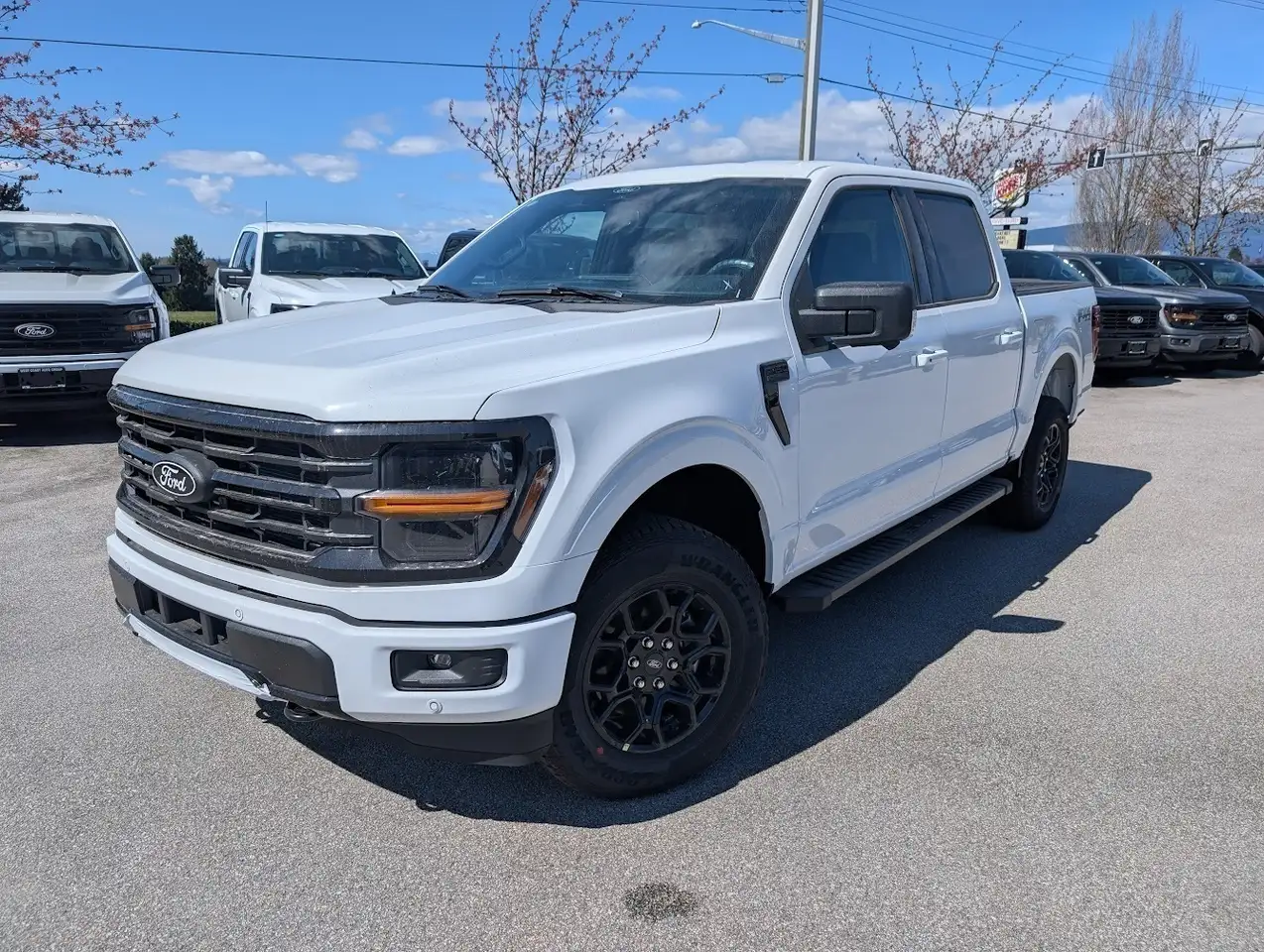 Ford F 150 снимка Ford F 150