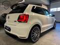 Volkswagen Polo 2.0 TSI R WRC Street nr 0144 / 2500 Limited Editio Wit - thumbnail 8