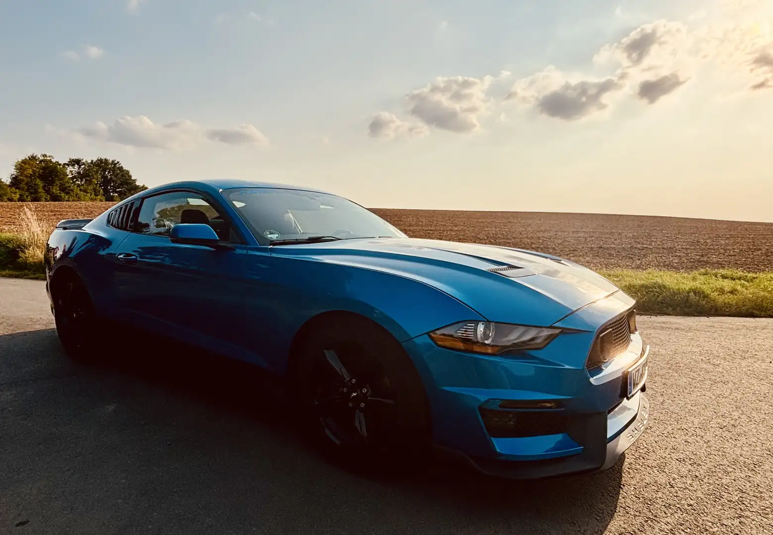 Ford Mustang Fastback 2.3 Eco Boost Aut. Синий - 1